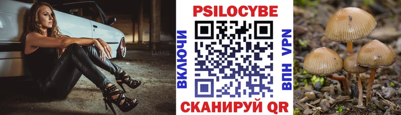 где купить наркотик  Нахабино  Псилоцибиновые грибы Psilocybe 