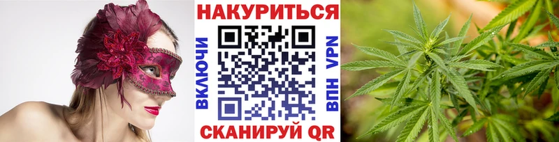 Каннабис план  Нахабино 
